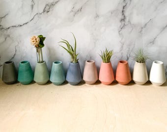 Vibrant Mini Concrete Planters: Air Plants, Dried & Wild Flowers, Unique Mom Gifts, Modern Decor