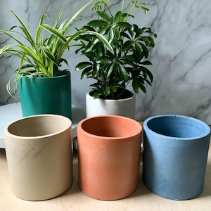 Puede incluir: Cuatro macetas cilíndricas de hormigón en diferentes colores: beige, terracota, azul claro y verde. Las macetas están vacías y se encuentran sobre una superficie de madera.