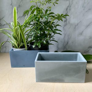 Könnte beinhalten: Zwei rechteckige Beton-Pflanzkübel, einer hellblau und einer grau, mit grünen Pflanzen darin. Die Kübel stehen auf einer hellbraunen Holzoberfläche.