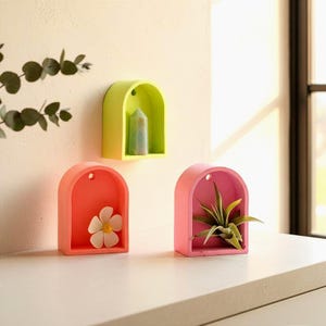 Neon Wall Art | Miniature Storage Curio Display | Arch Shelf