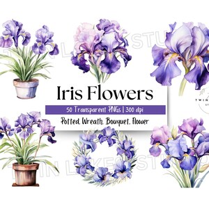 May include: 50 watercolour illustrations of purple iris flowers in various arrangements. The images include potted irises, a wreath of irises, and bouquets of irises. The text "Iris Flowers" is displayed in a purple banner.