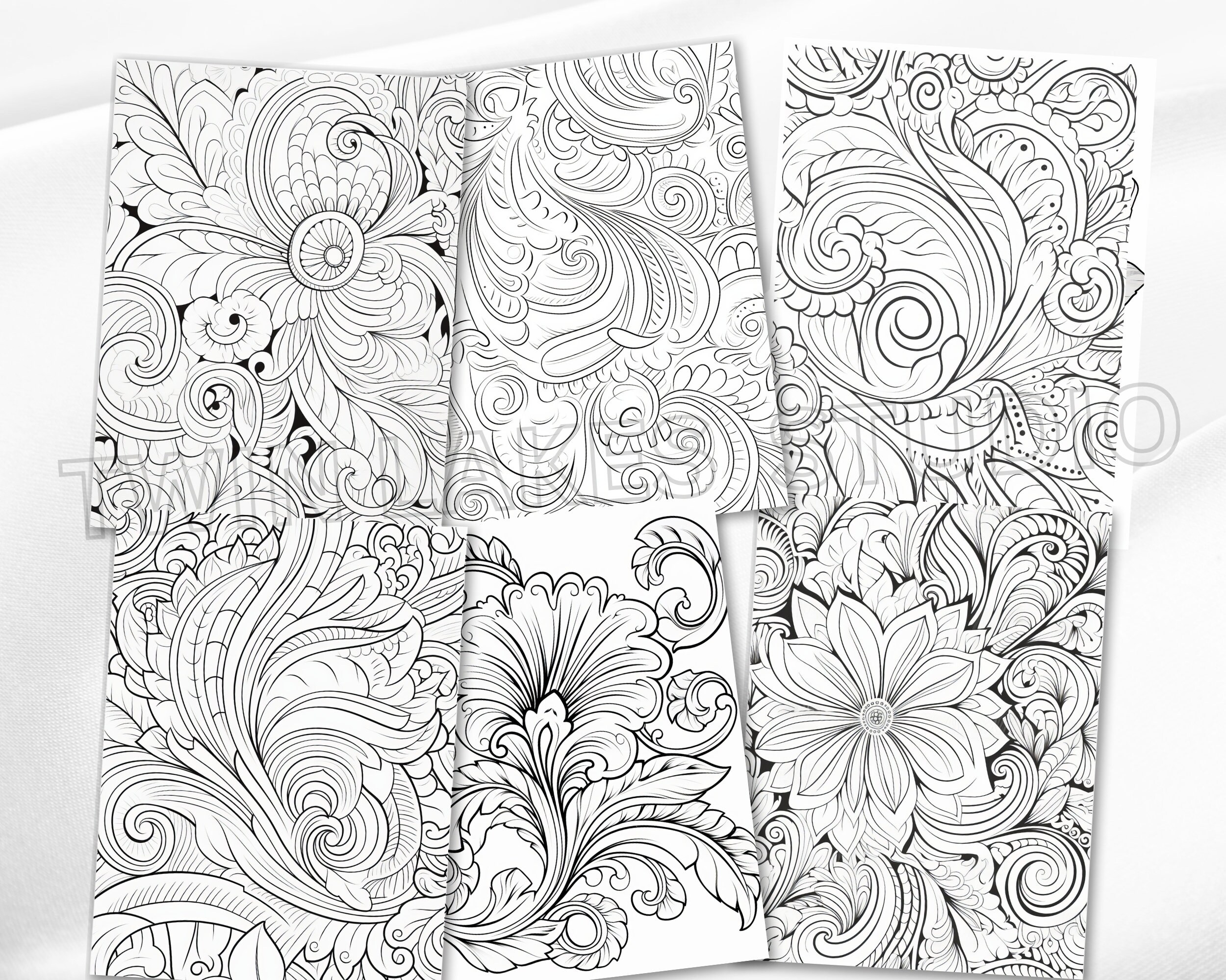 Paisley Designs: Relaxing Coloring Book for Adults | Paisley Patterns ...