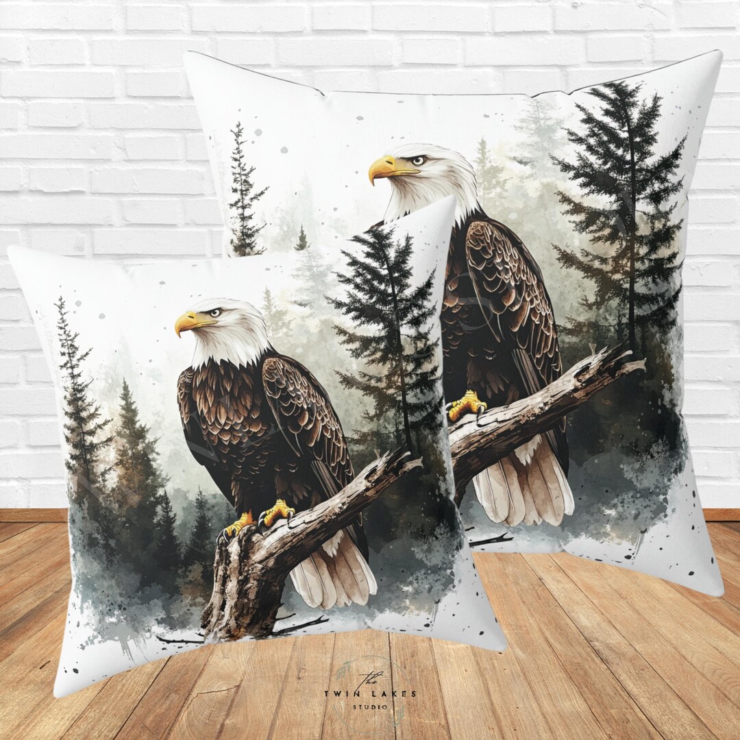 Eagle Feather Trail WN1704050CL Quilt Pillow Case main image 0