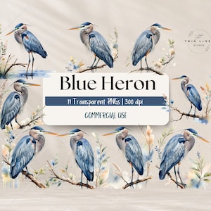 Puede incluir: Once ilustraciones de acuarela de garzas azules en varias poses, posadas en ramas con delicadas flores y hojas de acuarela. Las ilustraciones están sobre un fondo beige claro con el texto "Blue Heron" en un cuadro azul y "11 Transparent PNGs | 300 dpi" y "COMMERCIAL USE" en un cuadro blanco debajo.