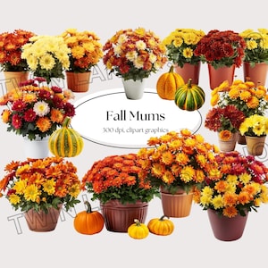 Herbst Mamas Clipart, Kürbisse, Erntedank, kommerzielle Nutzung, digitaler Download