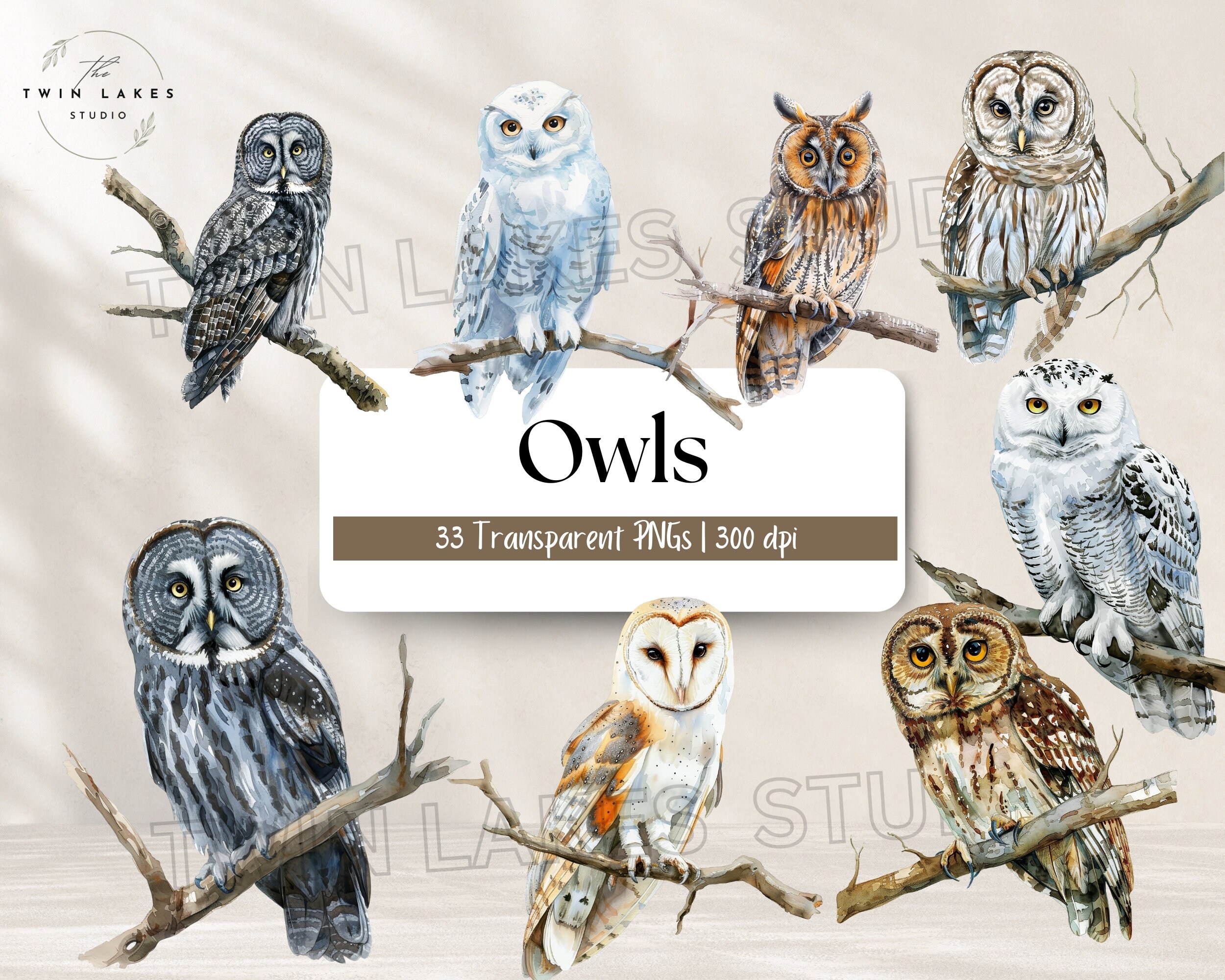 Watercolor Owls  | Clipart | Digital Download | Commercial Use