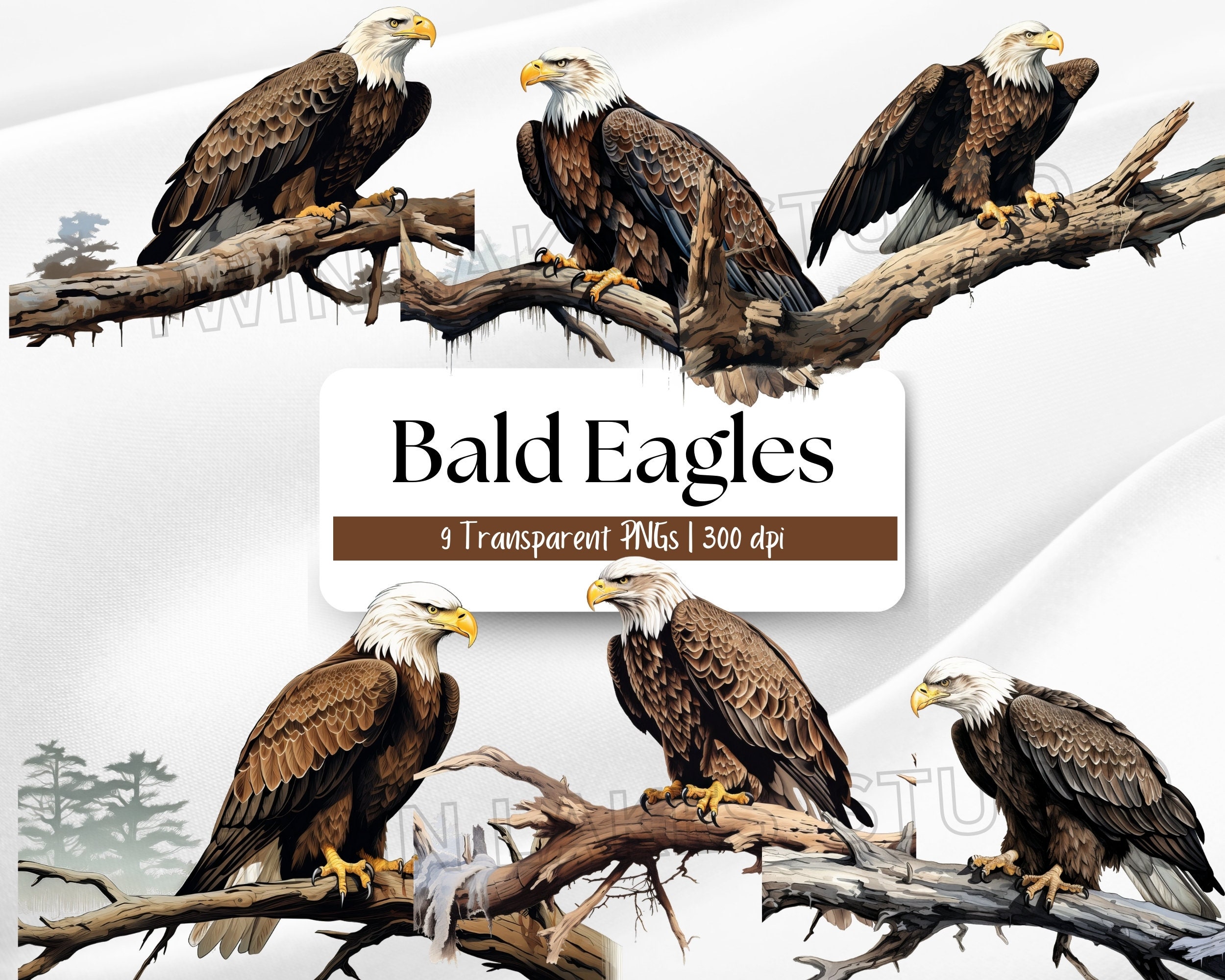 Majestic Bald Eagles Perched on a Branch Clipart Beautiful Bald Eagle ...