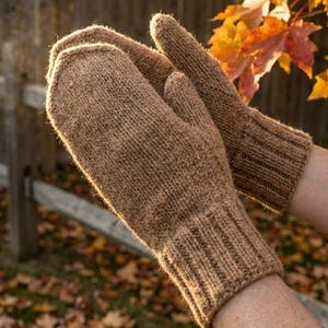 May include: A pair of brown knitted mittens. The mittens are made of a textured yarn and have a ribbed cuff. The background features fall foliage with yellow and orange leaves, and a wooden fence.