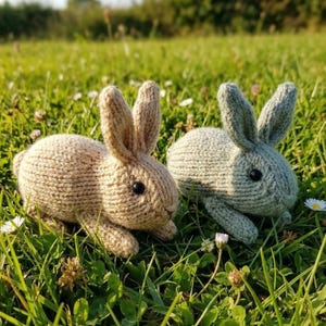 May include: Two knitted bunny rabbits in a grassy field. One bunny is light tan, the other is light gray. Both have black eyes and long ears. The bunnies are lying down in the grass, surrounded by small white flowers and green grass.
