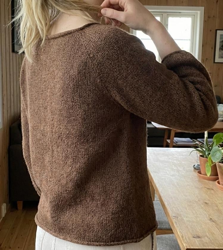 Beginner Knitting Pattern, Top Down Raglan Sweater, Seamless Pullover ...