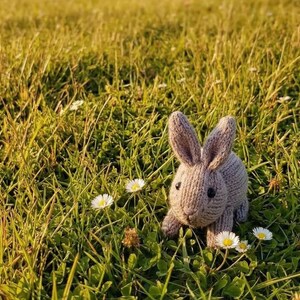 May include: A knitted gray bunny with black eyes sits in a field of green grass and white daisies. The bunny has long ears and a small body. The scene is bathed in sunlight, creating a warm and inviting atmosphere.