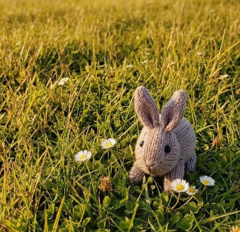 May include: A knitted gray bunny with black eyes sits in a field of green grass and white daisies. The bunny has long ears and a small body. The scene is bathed in sunlight, creating a warm and inviting atmosphere.