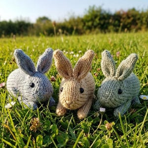 May include: Three knitted bunny rabbits in shades of gray, tan, and green sit in a field of green grass and small white flowers. The bunnies have black button eyes and long ears. The scene is bathed in sunlight.