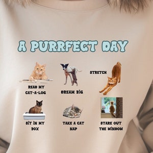 Cat Sweatshirt, funny cat shirt cat hoodie, cat lover, Grandma cat gift, Cat Mom shirt, Cat Dad shirt, funny cat sweatshirt funny cats gift