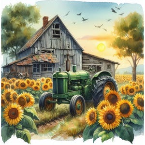 May include: A green vintage tractor parked in a field of sunflowers in front of a weathered wooden barn. The tractor has a large rear tire and a smaller front tire. The barn has a rusty metal roof and a wooden door.