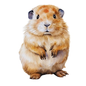May include: A watercolor painting of a small, brown, furry rodent with large ears and a white nose. The rodent is standing on all fours and looking directly at the viewer.
