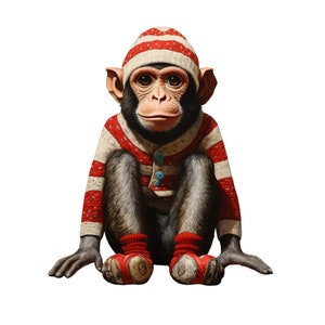 May include: A red and white striped hat with a red and white striped sweater on a chimpanzee. The chimpanzee is sitting with its legs crossed and its arms folded.