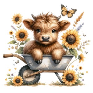 May include: A brown and white Highland cow calf sits in a gray metal wheelbarrow surrounded by yellow sunflowers and green foliage. A butterfly with brown and black wings flies above the wheelbarrow.