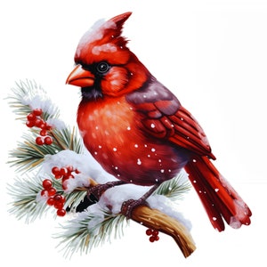 Cardinal - Panneau de tissu carré ~ 4 x 4 po, 5 x 5, 6 x 6, 8 x 8, 10 x 10, 12 x 12, 14 x 14 pour les projets de couture