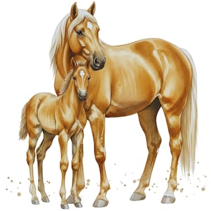May include: A golden palomino horse standing next to a smaller matching foal. Both animals feature light tan coats, white manes, and white tails. The adult horse has a white star marking on its forehead, and the foal has a similar white facial blaze.