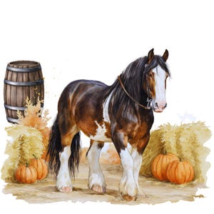 May include: A watercolor illustration of a brown and white draft horse with a black mane and tail, wearing a thin leather bridle. The horse stands between two hay bales, with a wooden barrel on the left and orange pumpkins on the ground.