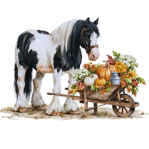 May include: A black and white pinto horse with a long mane stands beside a wooden wheelbarrow filled with orange pumpkins, white gourds, a small metal milk can, and colorful autumn leaves against a plain white background.