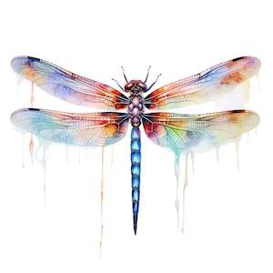 Watercolor Dragonfly  Fabric Panel Square ~ 4&quot;x4&quot;,5x5,6x6, 8x8, 10x10, 12x12, 14x14, inch fabric panel for sewing projects