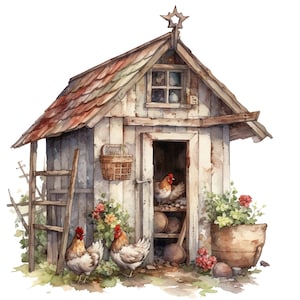 May include: A watercolor illustration of a rustic wooden chicken coop with a weathered shingled roof, a star-shaped finial, a ladder leaning against the side, a hanging basket, and three chickens with white and brown feathers near the entrance.