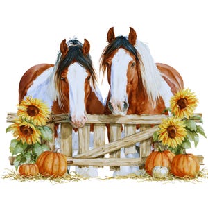 May include: A watercolor illustration of two brown and white horses with long manes peering over a weathered wooden fence. The scene is decorated with bright yellow sunflowers and several orange pumpkins resting on straw at the base of the fence.