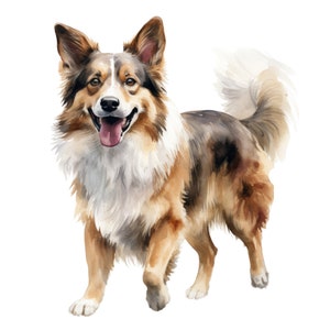 Cute Australian Shepherd Dog Fabric Panel ~ 4,5,6, 8, 10, 12, 14, inch fabric panel for sewing projects
