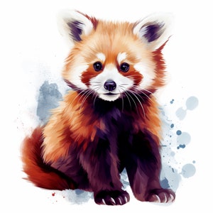 May include: A red panda cub with a white chest and black legs sits on a watercolor background. The cub has a fluffy tail and a cute, curious expression.