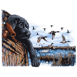 May include: A black Labrador Retriever puppy sits in a camouflage hunting jacket, looking intently at a flock of ducks flying overhead. The ducks are flying in formation over a body of water with reeds and grasses.