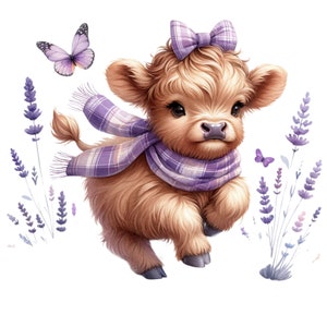May include: A brown and white Highland cow calf wearing a purple plaid scarf and bow, standing in a field of lavender.