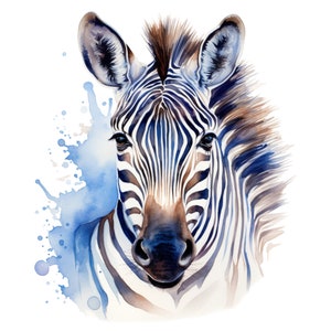 May include: Watercolor painting of a zebra's head, featuring black and white stripes and a brown mane. The zebra's face is detailed with blue accents and a blue watercolor splash on a white background.