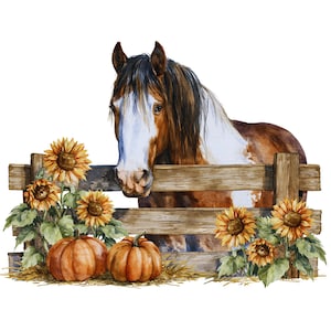 May include: A watercolor illustration of a brown and white horse peering over a rustic wooden fence. In the foreground, two orange pumpkins rest on a bed of straw, surrounded by vibrant yellow sunflowers with green leaves on both sides.