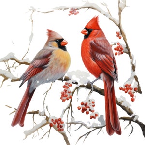 Two Cardinals -Fabric Panel Square ~4"x4",5x5, 6x6, 8x8, 10x10, 12x12, 14x14, inch fabric panel for sewing projects