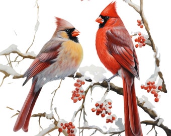 Two Cardinals -Fabric Panel Square ~4&quot;x4&quot;,5x5, 6x6, 8x8, 10x10, 12x12, 14x14, inch fabric panel for sewing projects
