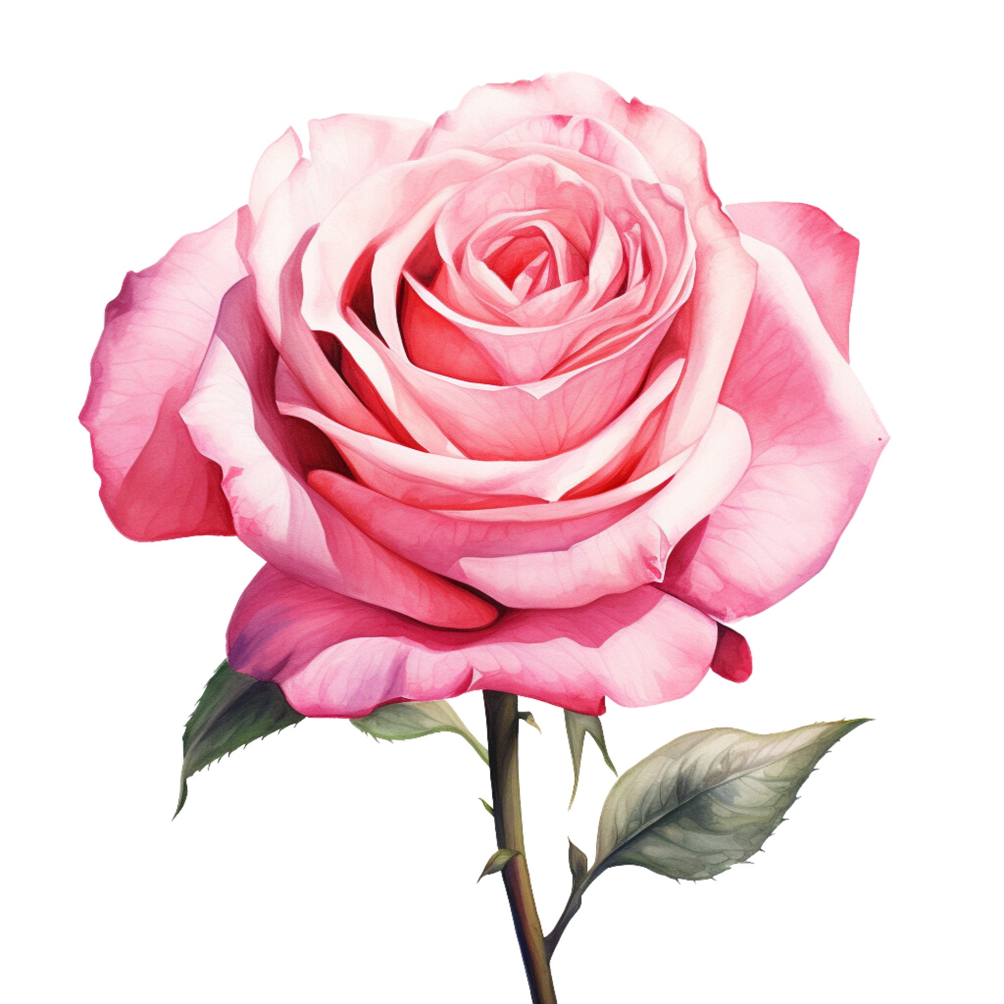 Pink Rose - Fabric Panel Square ~4,5, 6, 8, 10, 12, 14, inch fabric panel for sewing projects