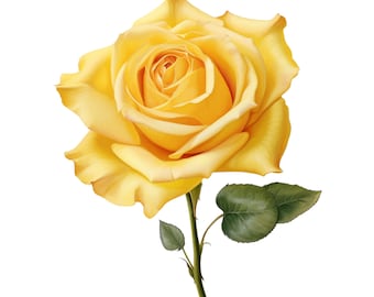 Yellow Rose -Fabric Panel Square ~4,5, 6, 8, 10, 12, 14, inch for sewing projects