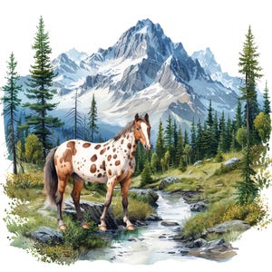 May include: A brown and white spotted Appaloosa horse standing in a grassy landscape with a small stream, surrounded by evergreen trees and a large, snow-capped mountain range in the background under a clear sky.