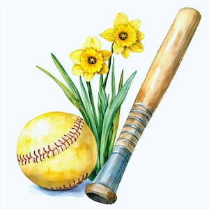 May include: Watercolor illustration of a softball, baseball bat, and daffodils. The yellow softball has red stitching. The wooden bat has blue and silver stripes. Two yellow daffodils with green leaves are also in the image.