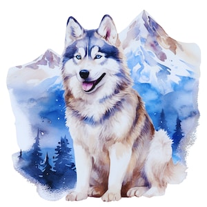 May include: A watercolor illustration of a Siberian Husky with blue eyes, white and grey fur, and an open mouth. The dog is positioned in front of a backdrop featuring blue and white snow-capped mountain peaks and dark blue evergreen trees.