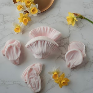 Botanically correct daffodil veiner