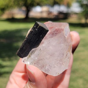 May include: A clear quartz crystal with a black tourmaline inclusion. The quartz is a pale, translucent color, and the tourmaline is a dark, opaque black. The crystals are held in a hand against a blurred green background.