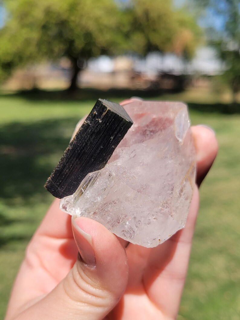 May include: A clear quartz crystal with a black tourmaline inclusion. The quartz is a pale, translucent color, and the tourmaline is a dark, opaque black. The crystals are held in a hand against a blurred green background.