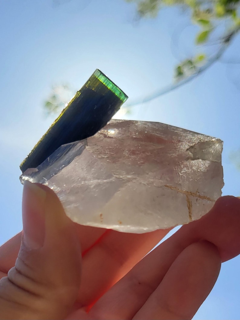 May include: A hand holds a clear quartz crystal with a dark green and blue tourmaline crystal. The tourmaline has a vibrant green top and transitions to a deep blue. The quartz is translucent, with a natural, rough texture.