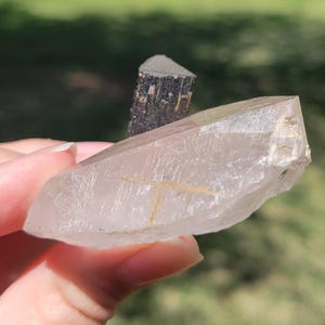 May include: A clear quartz crystal with a golden inclusion and a black tourmaline crystal. The quartz is held up in front of a blurred green background.