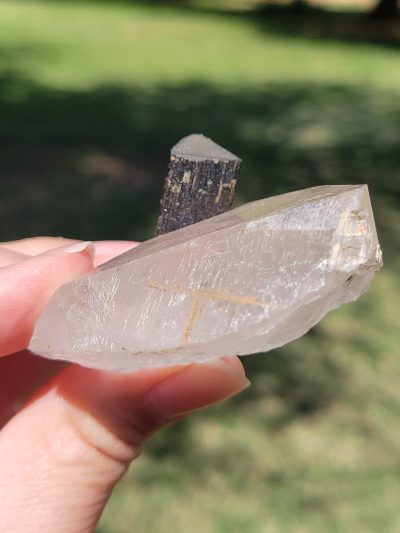 May include: A clear quartz crystal with a golden inclusion and a black tourmaline crystal. The quartz is held up in front of a blurred green background.