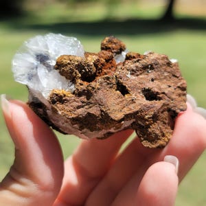 May include: A natural mineral specimen featuring a cluster of clear, crystalline formations contrasted against a rough, brown matrix. The specimen has a textured appearance with varying shades of brown and white, and is held in a hand.