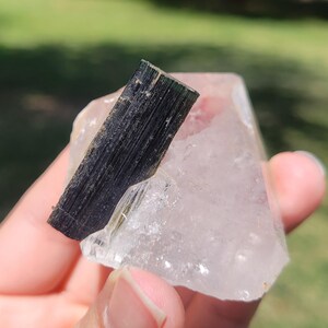 May include: A dark green tourmaline crystal is embedded in a clear quartz crystal. The tourmaline is a long, rectangular shape with a textured surface. The quartz is a clear, irregular shape.